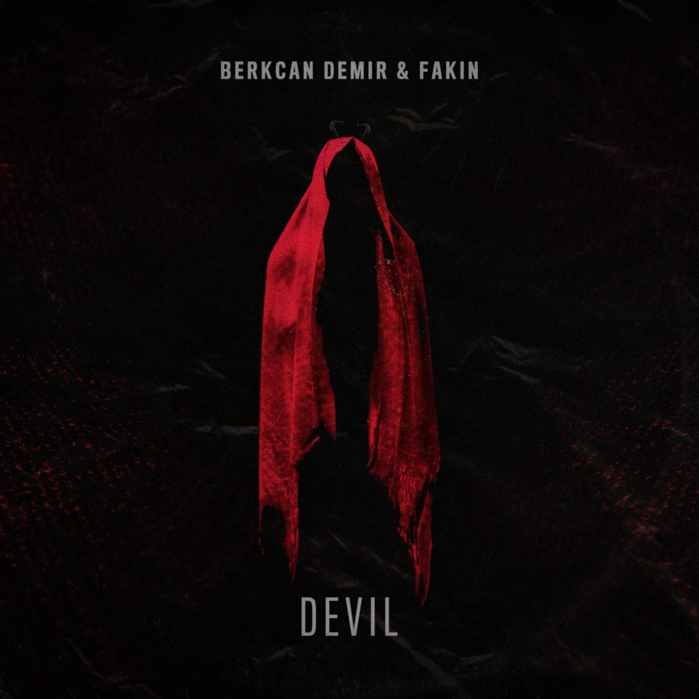 Berkcan Demir, Fakin