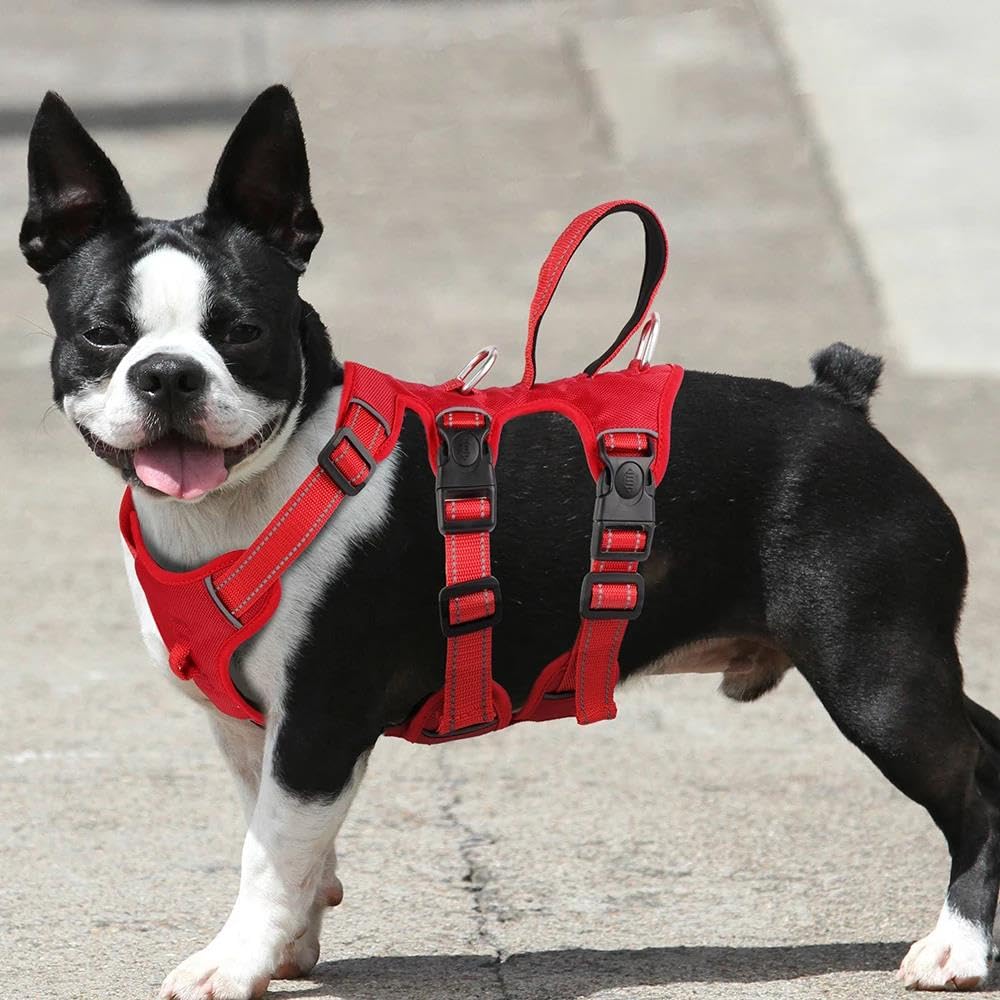 Pettorina per Cani con Maniglia di Controllo, Pettorina per Cani Riflettente per Esterni, Pettorina per Animali Domestici in Nylon a Rete, Regolabile Senza Tirare (Cachi XL)