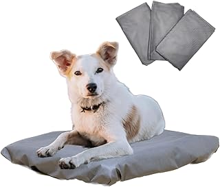 Tailbop Disposable Pet Bed Covers, Fits All Dog and Cat Beds or Mats, Rectangular or Round. Waterproof, Odor and Dirt Resistant, 100% Recyclable, 3 Pack (L-XL)
