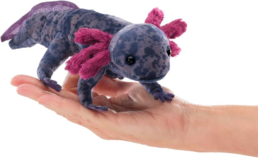 Amazon.com: Folkmanis Black Axolotl Finger Puppet : Toys & Games