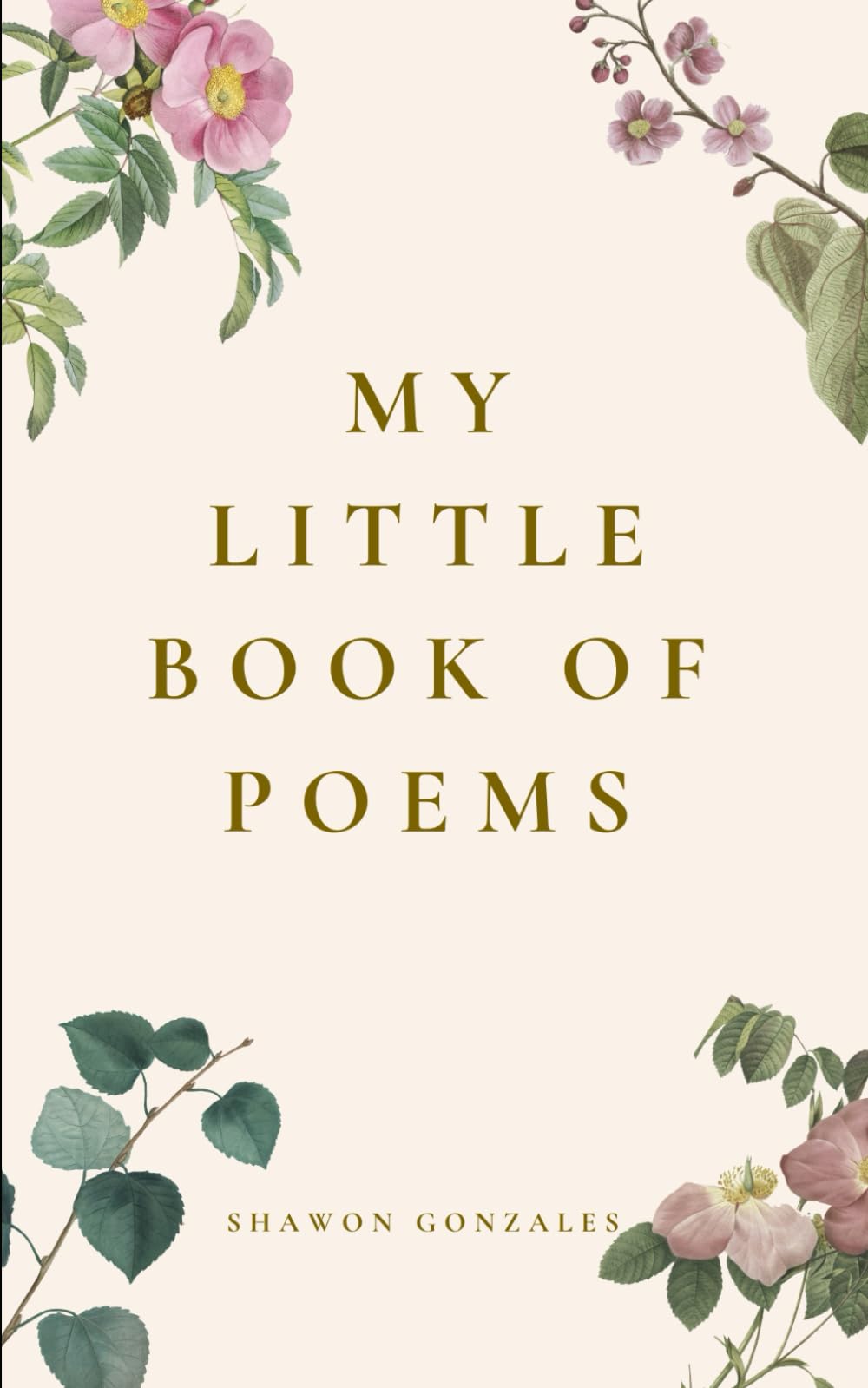 My Little Book of Poems