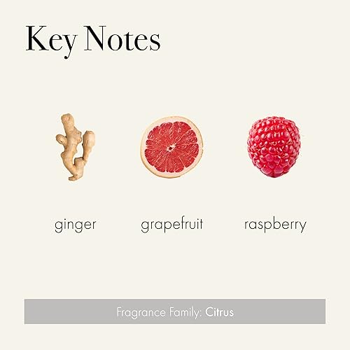 Miniatura 3 de LAFCO New York - Vela perfumada de 3 mechas, champán, ático (30 oz)