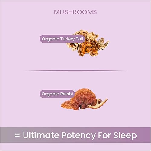 Miniatura 5 de SLEEP - Polvo de hongos de 2.12 oz (30 porciones)  Reishi orgánico y cola de pavo  El mejor polvo de hongos orgánico para dormir, alivio del estrés