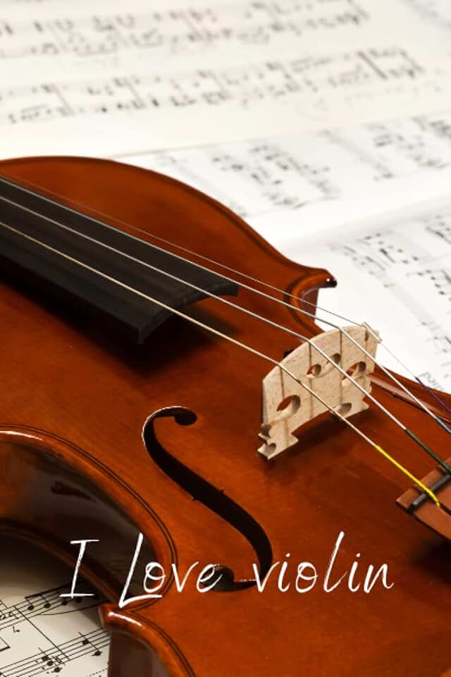 Симфония тула. Тула ул оборонная д 6 вог. Симфония в желтом. Симфония филармония. Федор безносиков скрипка.