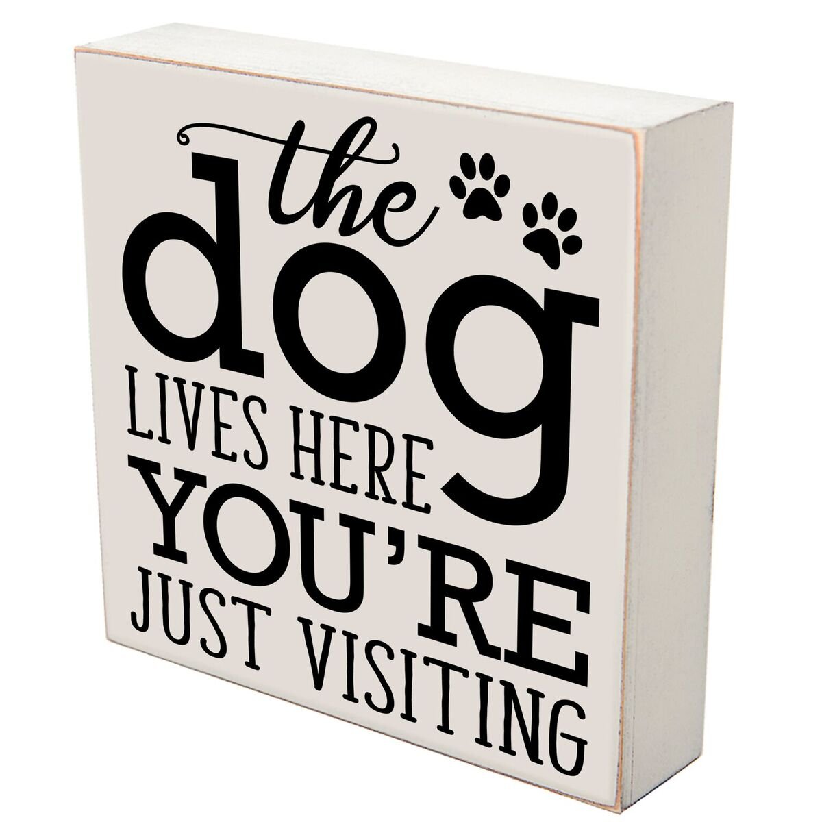 LifeSong Milestones The Lives Here Your Just Visting Pets Gifts for Dog cat Pet Lover Gift Box Birthday Gifts for Pets 6x6 (The Best Things) (The Dog Lives Here)