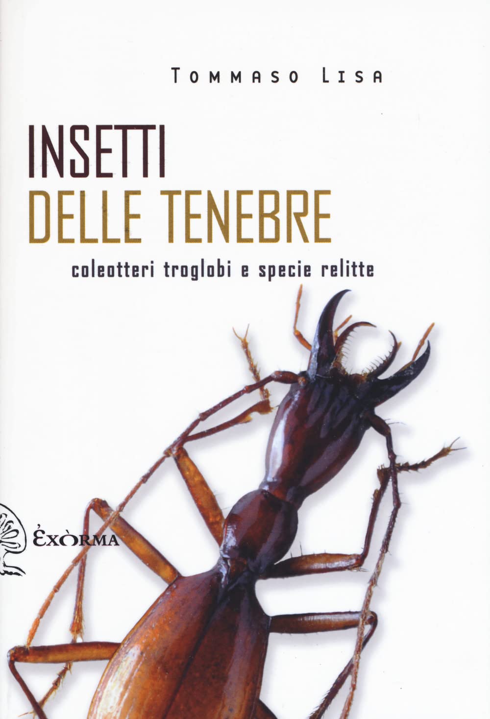 Insetti delle tenebre. Coleotteri troglobi e specie relitte (Scritti
