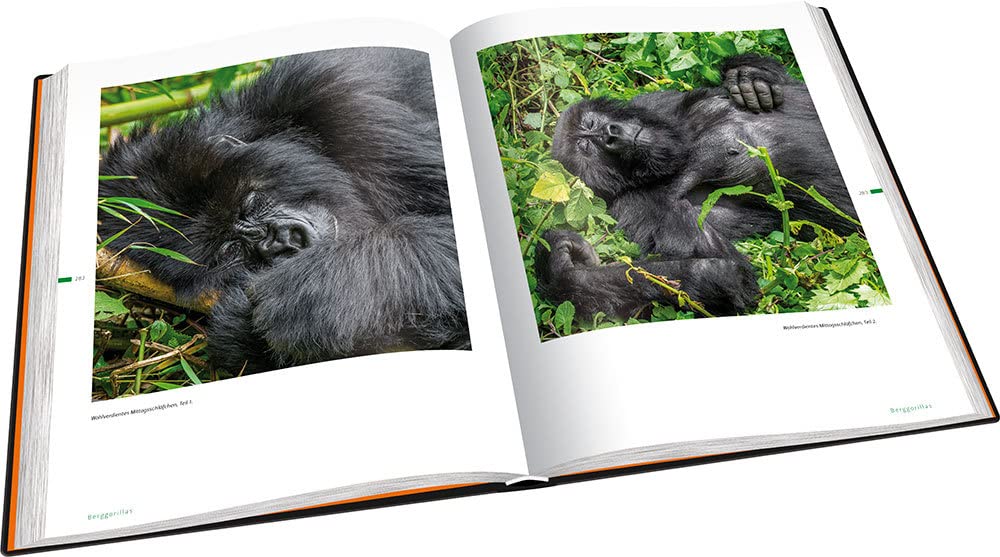 Perle Afrikas: Faszination Uganda