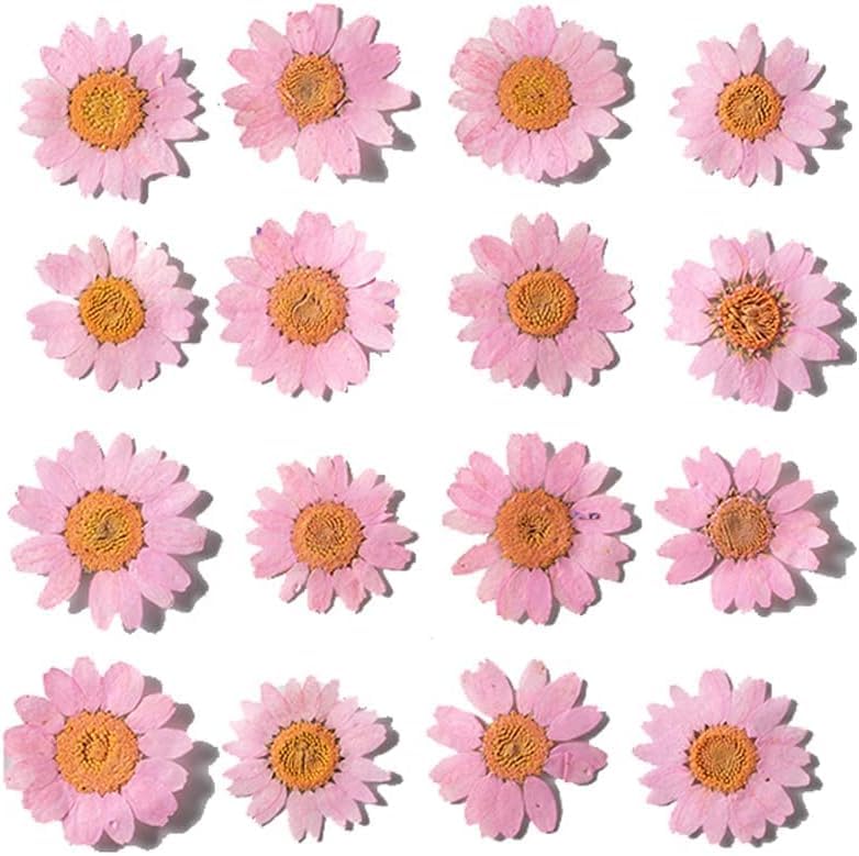 12 Pcs Pressed Flowers for Resin Art Natural Dried Daisy Flower for Crafting Jewellery, Bookmark, Scrapbook, Candle Making, Soap Making, Nails, DIY (Light Pink (1))-image-14