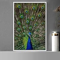 Framed Canvas Wall Art Single Bird Birds Expressive Farmhouse/Country Multicolor Photography Portrait Single - 16x24 inches