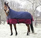 Poliéster Ripstop 1200D Reitsport Amesbichler Tyrex Equiteme - Manta para caballo (1200 denier, forro interior de nailon, impermeable, transpirable, correas cruzadas, etc.), 125 cm