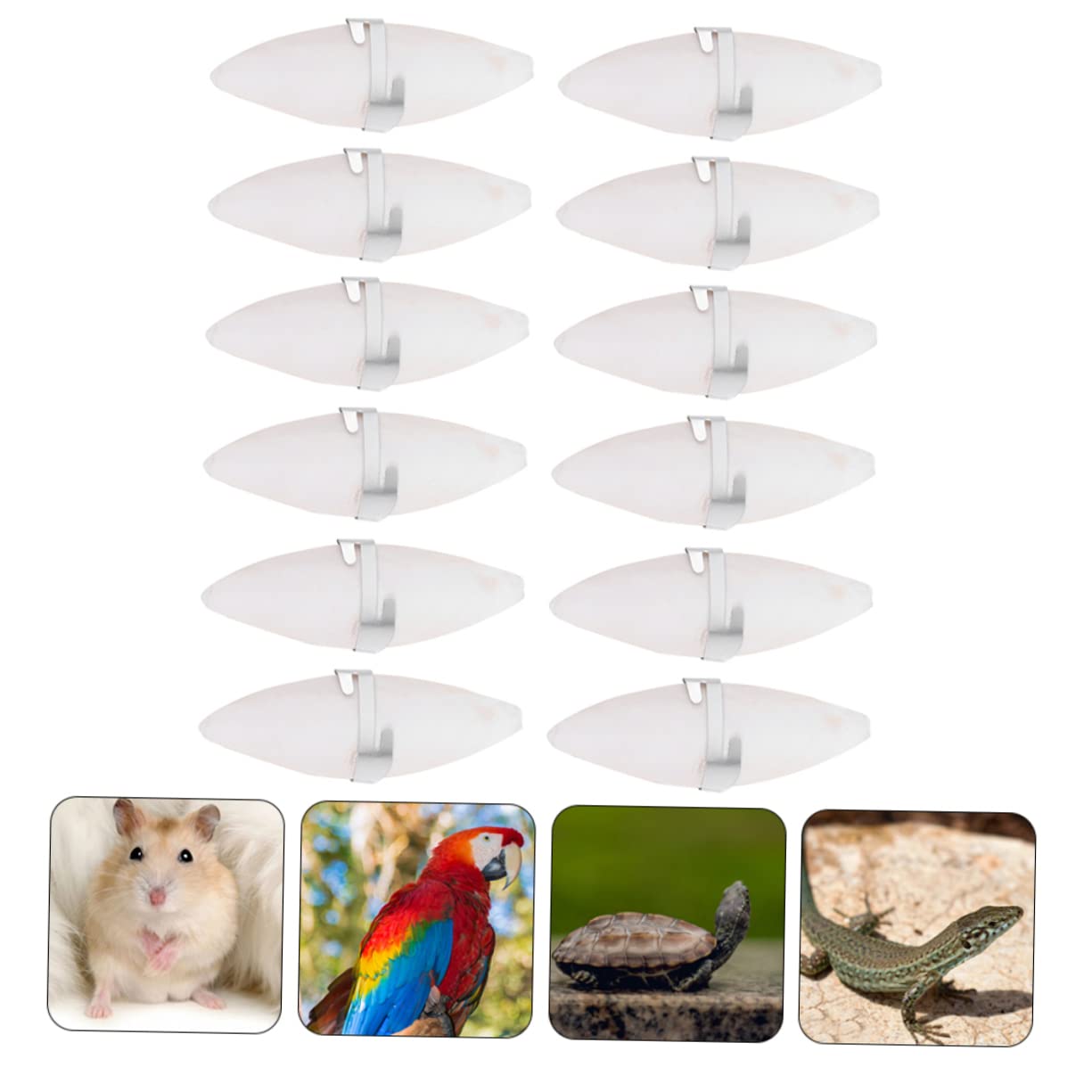 YARNOW 36 Pièces Jouet à Mâcher en Os De Seiche Aquarium en Os De Seiche Os De Seiche Oiseau Jouets Rampants Os Câlin Perroquet Os De Seiche Molaire Blanche Fournitures pour Animaux Givré