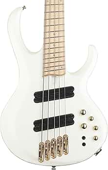 61UkndY4bsL._AC_UF350,