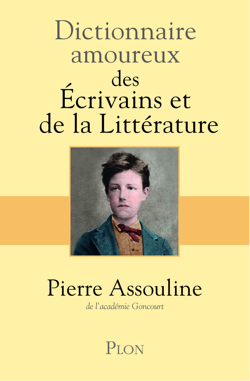 Dictionnaire amoureux des ecrivains et de la litterature