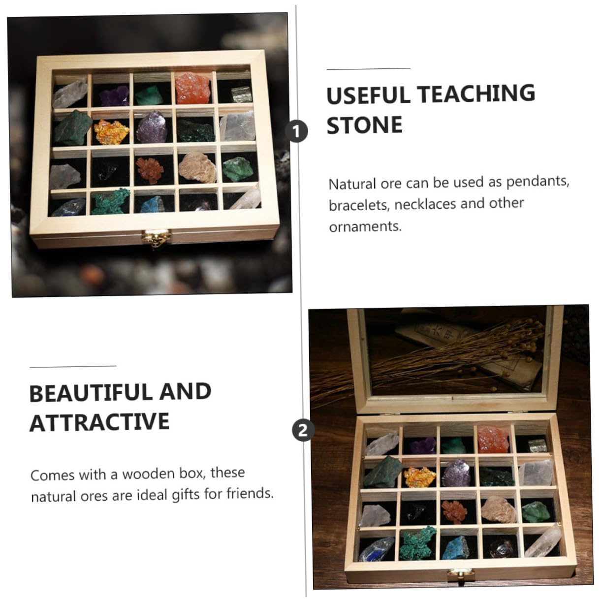 20 Stück Teiliges Mineralien Natursteine Sammlungsbox für Geologische Lehrproben für
