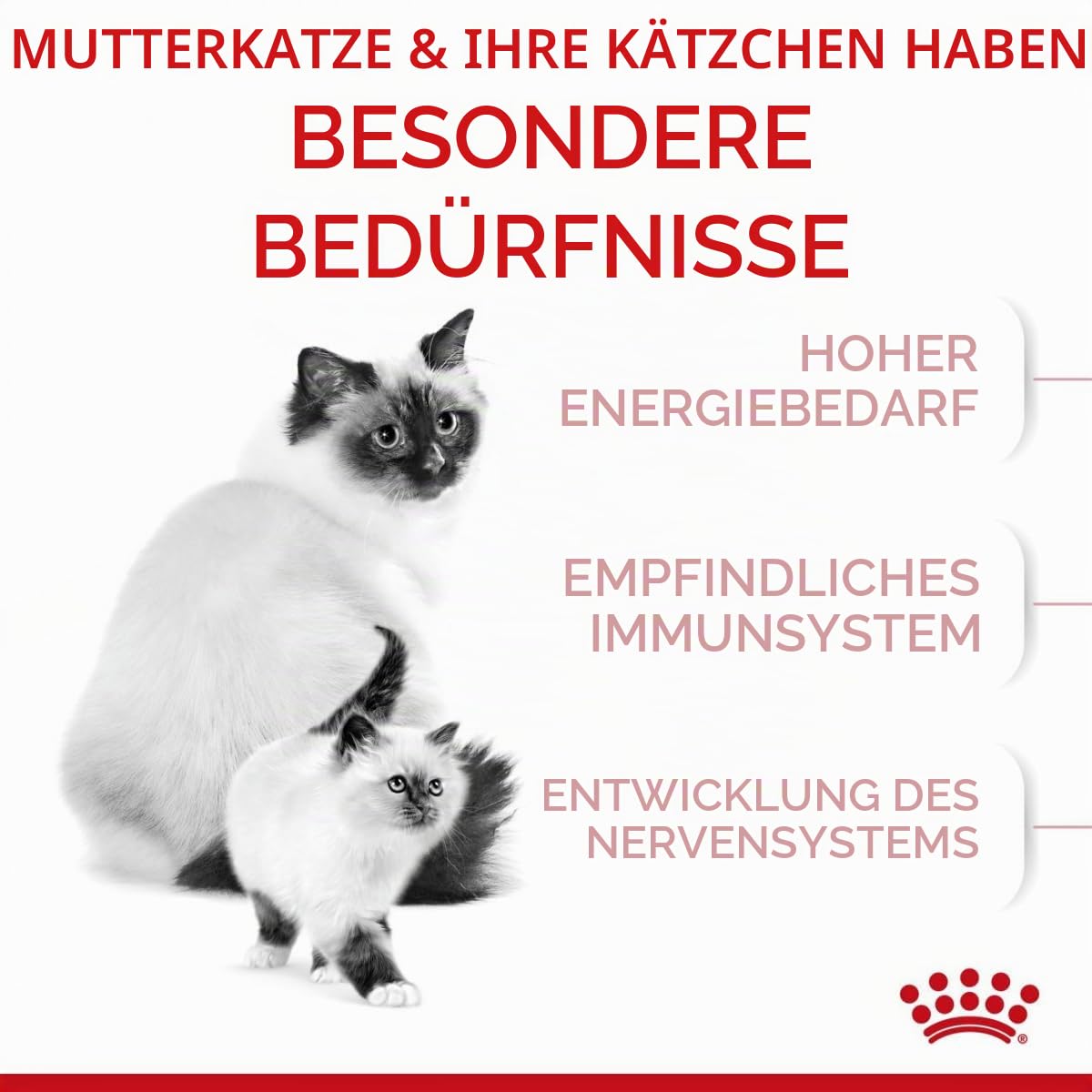 RC Babycat 34 (1) - 4kg