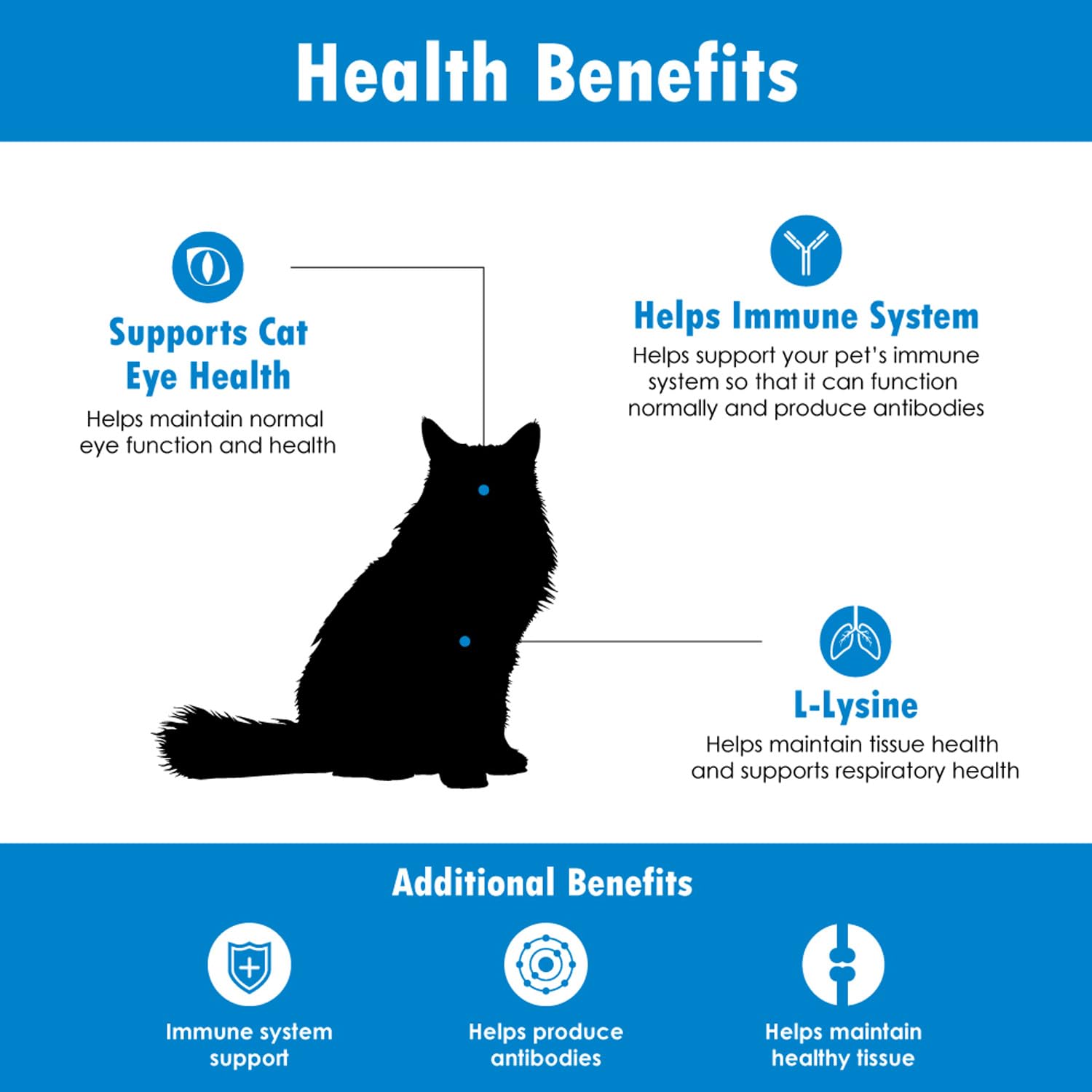 Immune System Support for Cats - Amino Acid L-Lysine - Produce Antibodies - Healthy Tissue, Respiratory Health, Vision - 60 Soft Chews — Amazon image 6