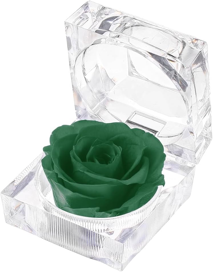 Enchanted Rose in Acrylic Crystal Ring Box Handmade Real Preserved Fresh Flower Best Romantic Gift for her Mother's Day Christmas Unique Surprise Mom Wife NOT Silk (Green)