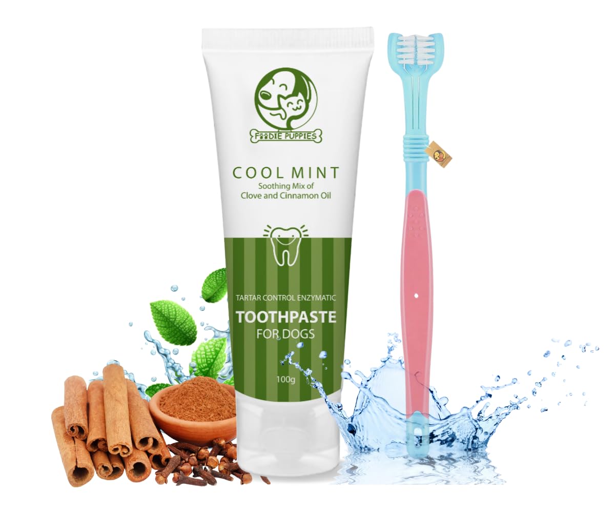 Foodie Puppies Dog Toothbrush and Toothpaste Combo for Dogs - (Triple Head Toothbrush + Coolmint Toothpaste) | Removes Bad Breath | Improves Tartar Dental Care (B0CN2PQY4Y) Amazon Price History, Amazon Price Tracker