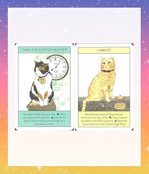 Amazon | 【日本語版】キャットグルカード 日本語解説書付き 猫