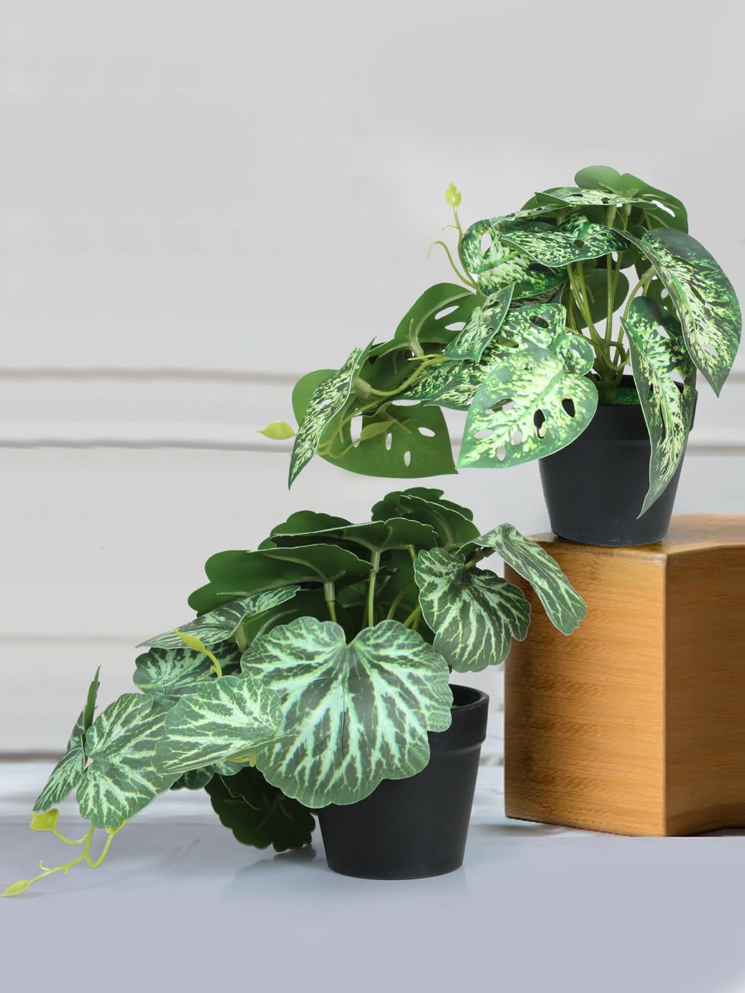 Tied Ribbons Pack Of 2 Artificial Plants With Pot Stand For Home Decor Office Table Living Room Restaurant Indoor Outdoor Decorative Gifting-Artificial Dieffenbachia And Begonia Plant Combo - Plastic (B0CP5VLYWZ) Amazon Price History, Amazon Price Tracker