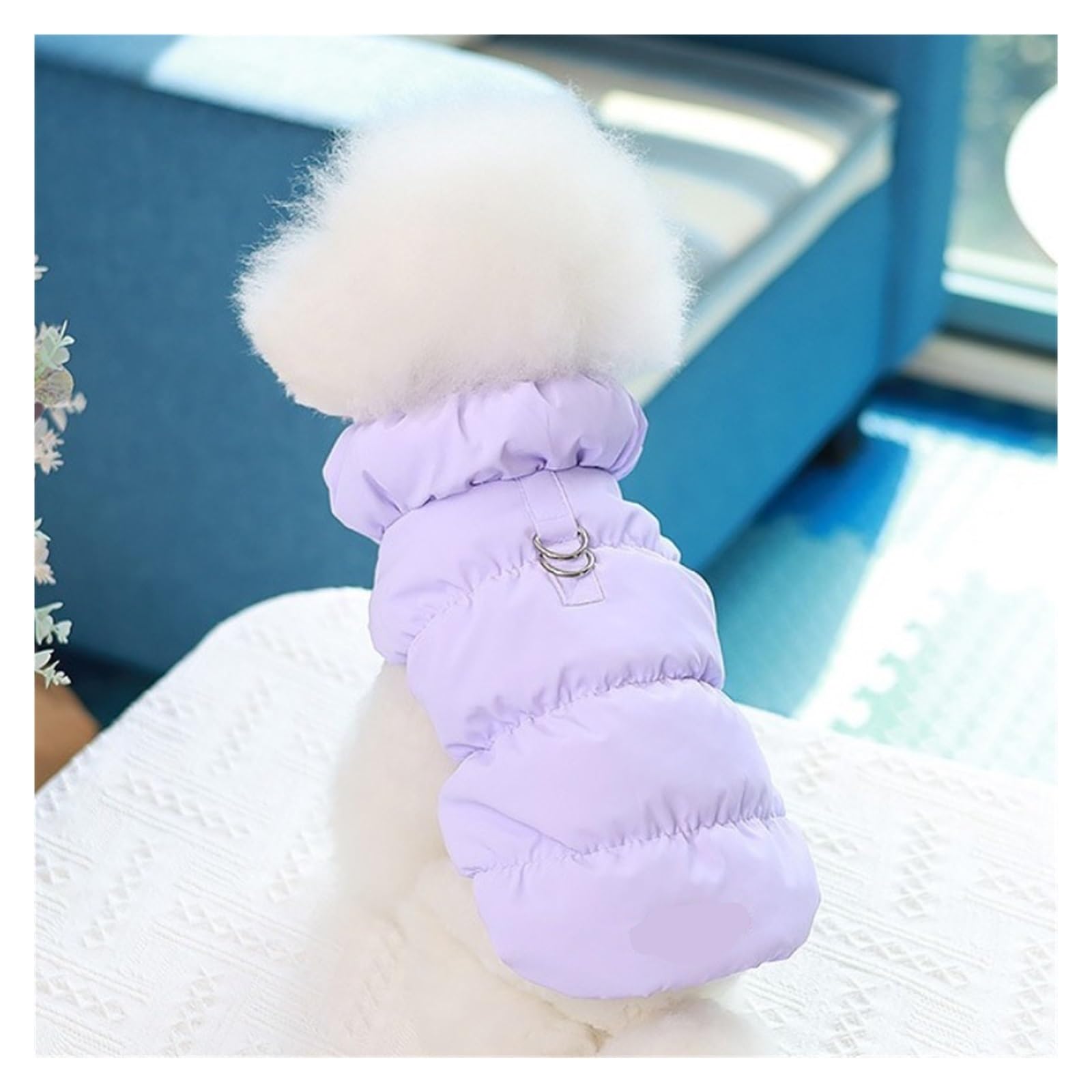 Gilet pour petits chiens matelassé et isolant contre le gel veste d'hiver violette taille XXL