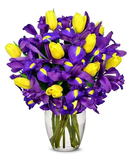 From You Flowers - Sunny Tulip And Iris Bouquet With Free Vase (Fresh Flowers) #TOP4