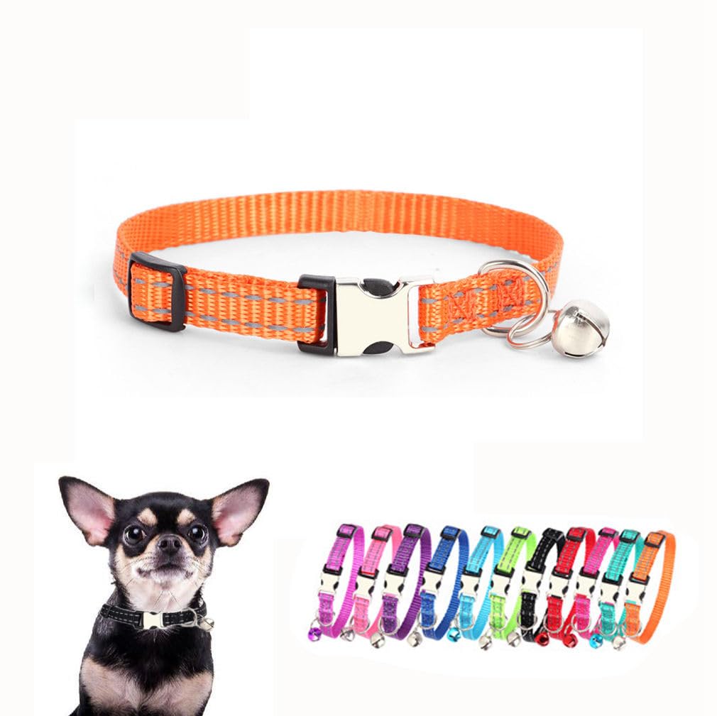 Collier chien XS de qualité supérieure en nylon tressé orange