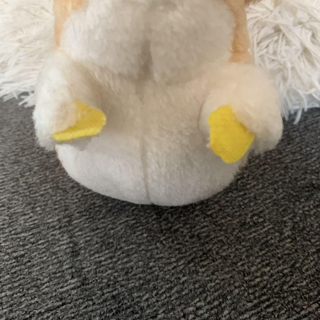 Amazon.co.jp: 南の虹のルーシー モッシュ ぬいぐるみ ポピー