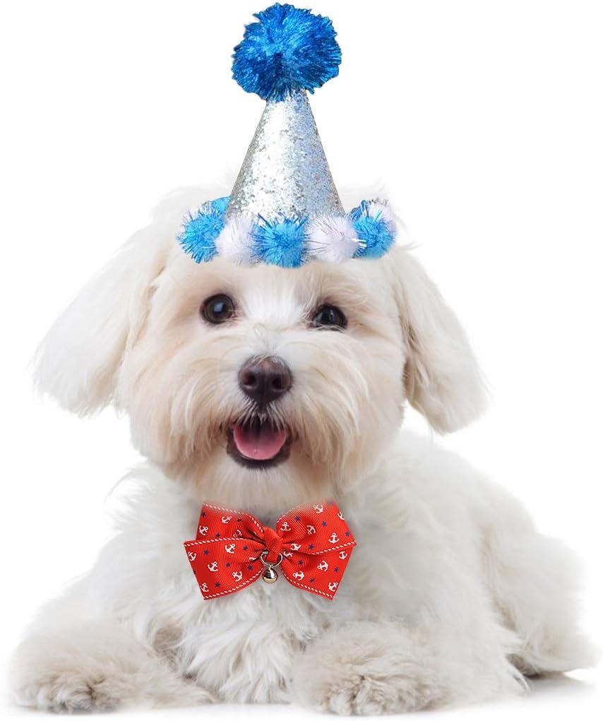 数量限定 ペットの誕生日ハットクリエイティブかわいいpompomの猫コーンハット犬パーティー帽子ペットのコスチューム帽子ペット用品パーティードレスアップ Color E Size フリー ブルー 数量限定 ペットの誕生日ハットクリエイティブかわいいpompomの猫コーンハット犬パーティー帽子ペットのコスチューム帽子ペット用品パーティードレスアップ Color E Size フリー ブルー