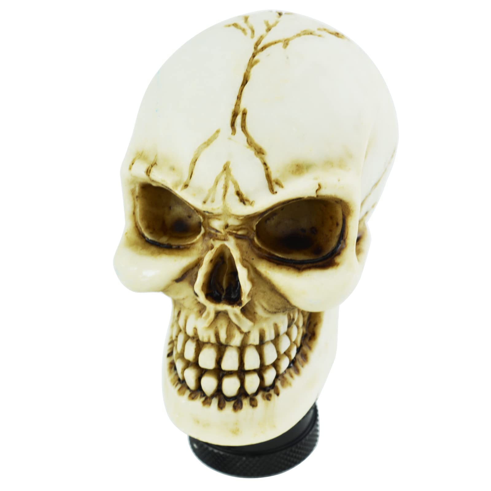 Temzzer Beige Skull Resin Transmission Shift Lever Knob Heavy Shiny Vehicle Shifter Handle Stick Head For Most Manual Automotive Vehicles (Beige)