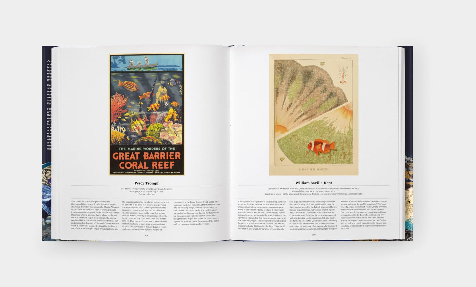 OZEANE - Die Welt der Meere: Ein Ausflug in die maritime Welt. Streifzug durch Illustrationen aus Wissenschaft und Kunst: Das faszinierende Ökosystem Meer in einem prachtvollen Bildband