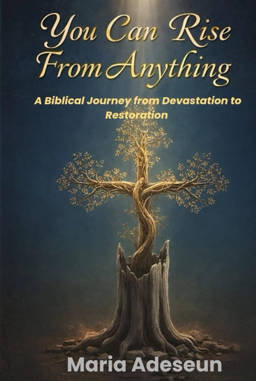 You Can Rise From Anything: A Biblical Journey from Devastation to Restoration