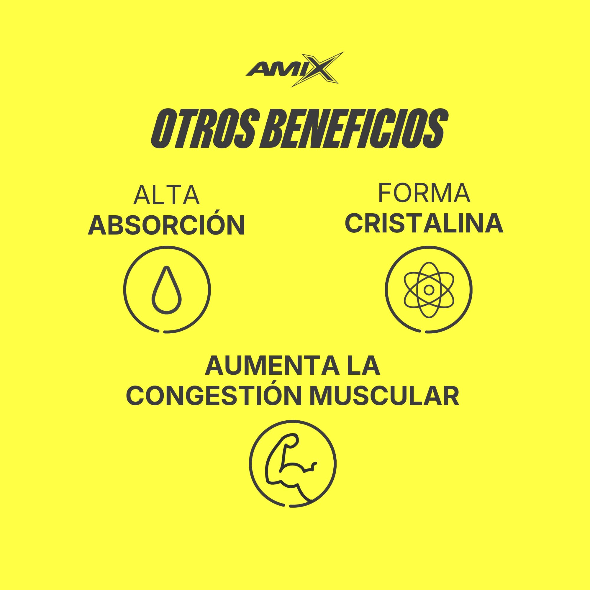 AMIX - Aminoácidos Esenciales - M.A.P. with GlyceroMax - Formato de 340 g - Sabor Natural - Contiene Glicerol Concentrado - Ideal para Tomar Antes del Entrenamiento