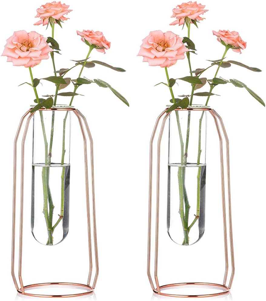 Vases Set of 2 Glass Vases with Metal Frame 23.5cm Height, Modern Rose Gold Frame