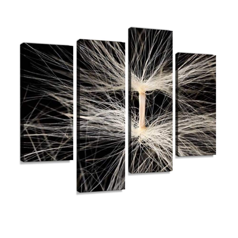 4 Panel kudu, seeds adenium obesums and pictures Canvas Pictures Home Decor Gifts Canvas Wall Art for your Living Room