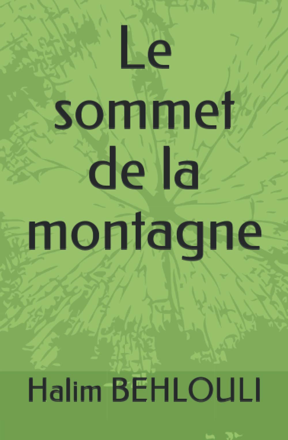 Le sommet de la montagne