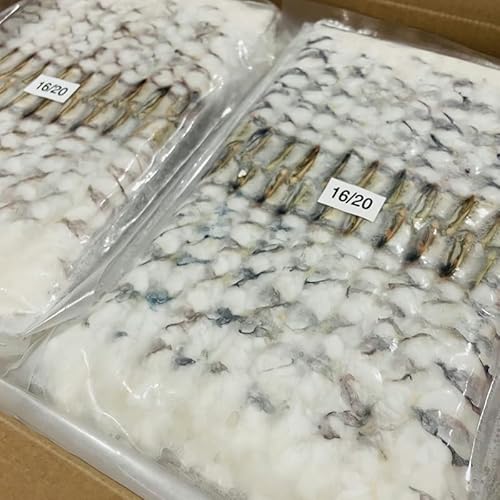 L΂CV ubN^CK[CV 110pbN200(1pbN20)yƖpETCY16/20zVՂAtCɊȒPyⓀցz