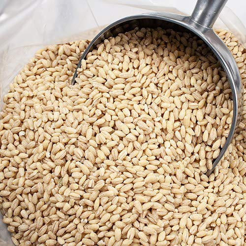 Swift River Pearled Barley: 10 LB (10 pound)