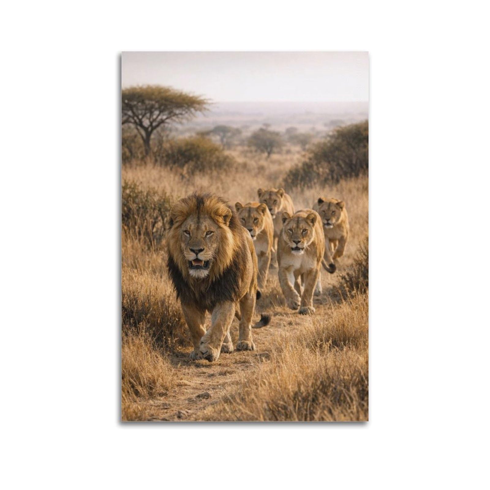 Xkuga Boys Unframe-Style Wildlife Poster African Lion Savannah Predator Safari Modern Decorative Canvas Prints - Ideal Wall Art For Family, Man Cave, Game Room, & Girls Bedroom 24X36inch(60X90cm)