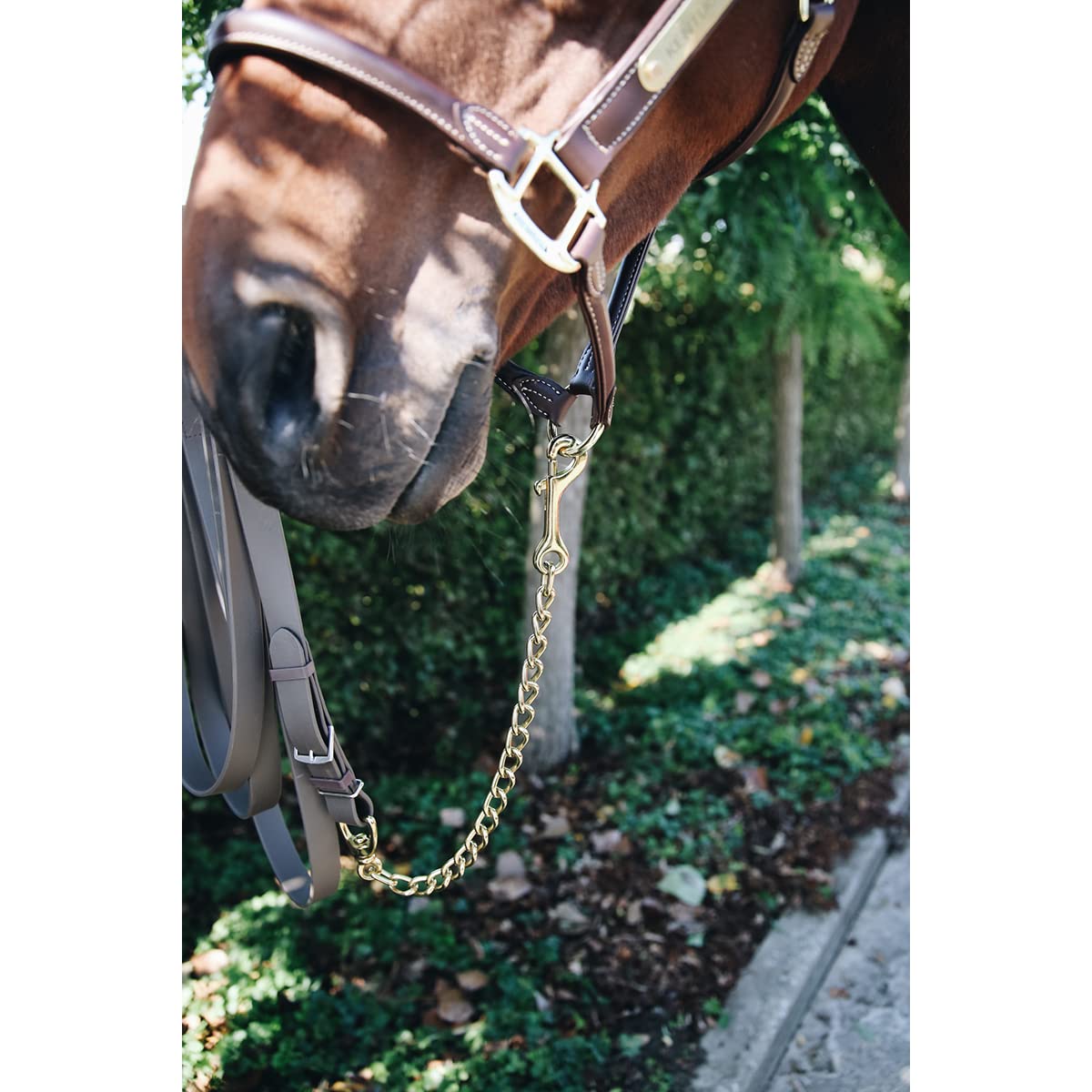 Kentucky Hengstkette, Gold, 60 cm, Metall, Kette, ANIMAL_COLLAR, für temperamentvolle Pferde, Large Animals, Pferd