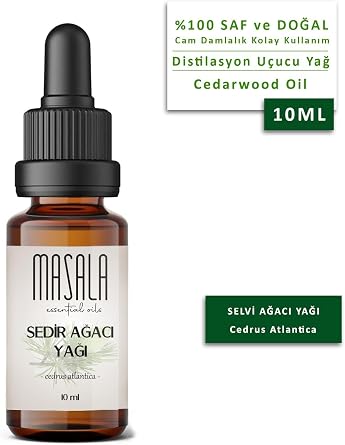 Masala Forest Fragrances Aromatherapy Set - Forest Scents Aromatherapy Kit (Cedar Tree 10 ml - Spruce 10 ml - Cypress Tree 10 ml - Palmarosa 10 ml)