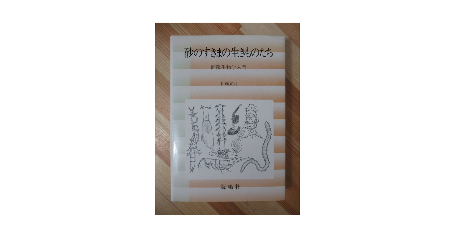 砂のすきまの生きものたち―間隙生物学入門 (1985年) Amazon.co.jp: T17絶版砂のすきまの生きものたち 間隙生物学入門