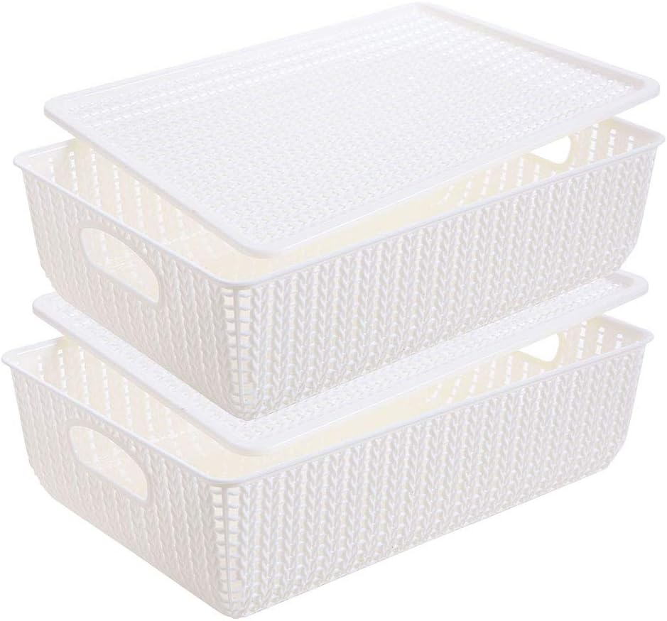 Rattan Storage Bins Woven Storage Basket Decorative Plastic Organizer Box with Handles Lids for Household Organization Closet Office Supplies, 13.7 x 9.6 x 4.1 inches, Set of 2