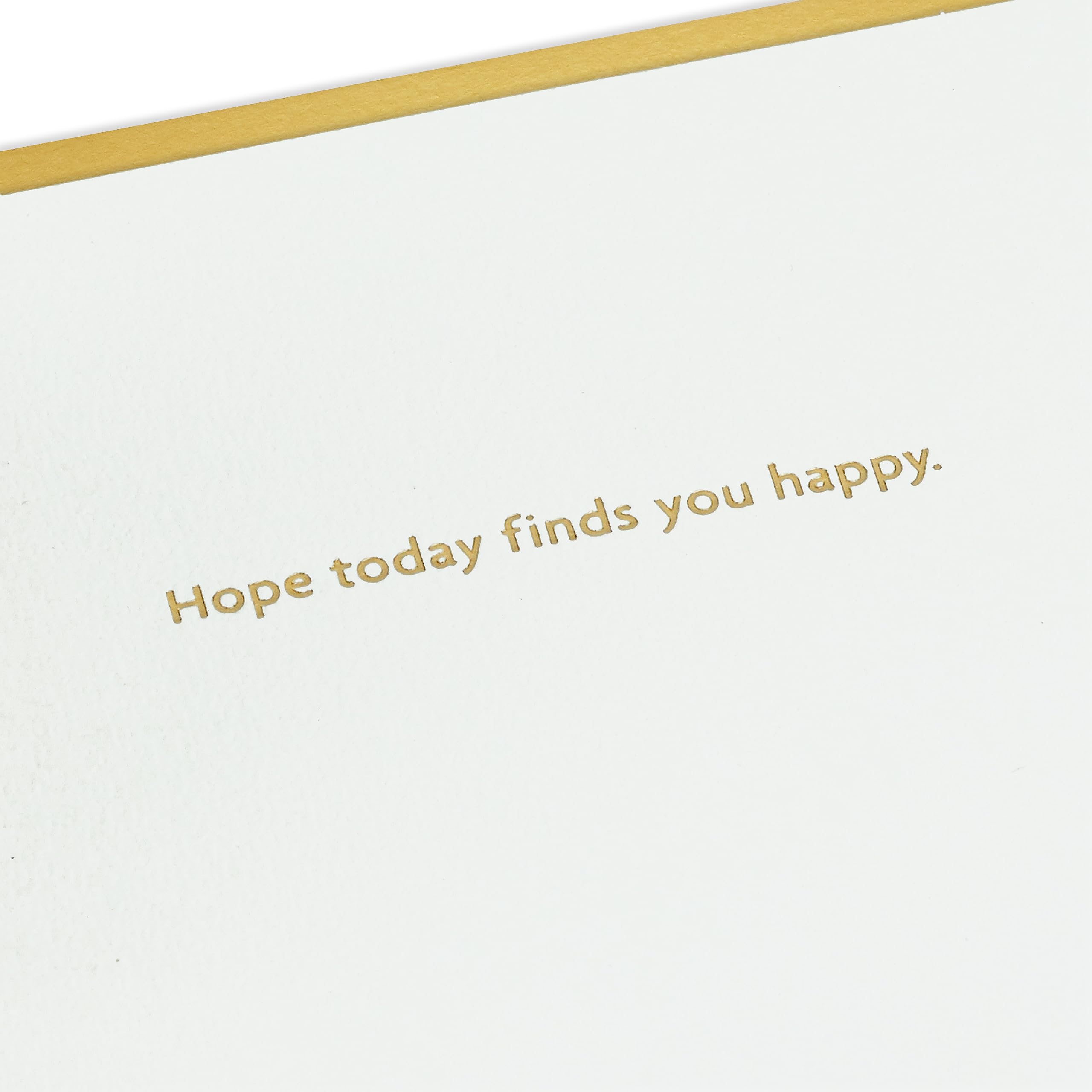 Hallmark Signature Paper Wonder Pop Up Geburtstagskarte, Dankeskarte, Thinking of You Karte (Lilo und Stitch) | Signature Paper Wonder Collection, Lilo und Stitch Kunstwerk, hochwertiges Papier, Kartenmaße: 12,7 x 18,3 cm