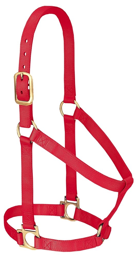 Weaver Equine Nylon Horse Halter, Comfort Double-Ply Webbing, Basic Non Adjustable Halters for Horses, Equine Tack,Average Size, Black