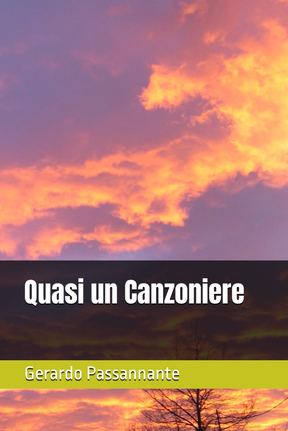 Quasi un Canzoniere