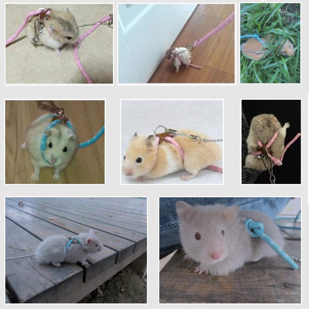 2 Guinzagli Regolabili Per Piccoli Animali - Criceti, Porcellini D'India, Scoiattoli E Furetti (Rosso E Verde) - Foto 8