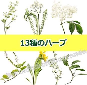 Amazon.co.jp: 選べる味 リコラ ricola スイス生まれ ハーブのど飴