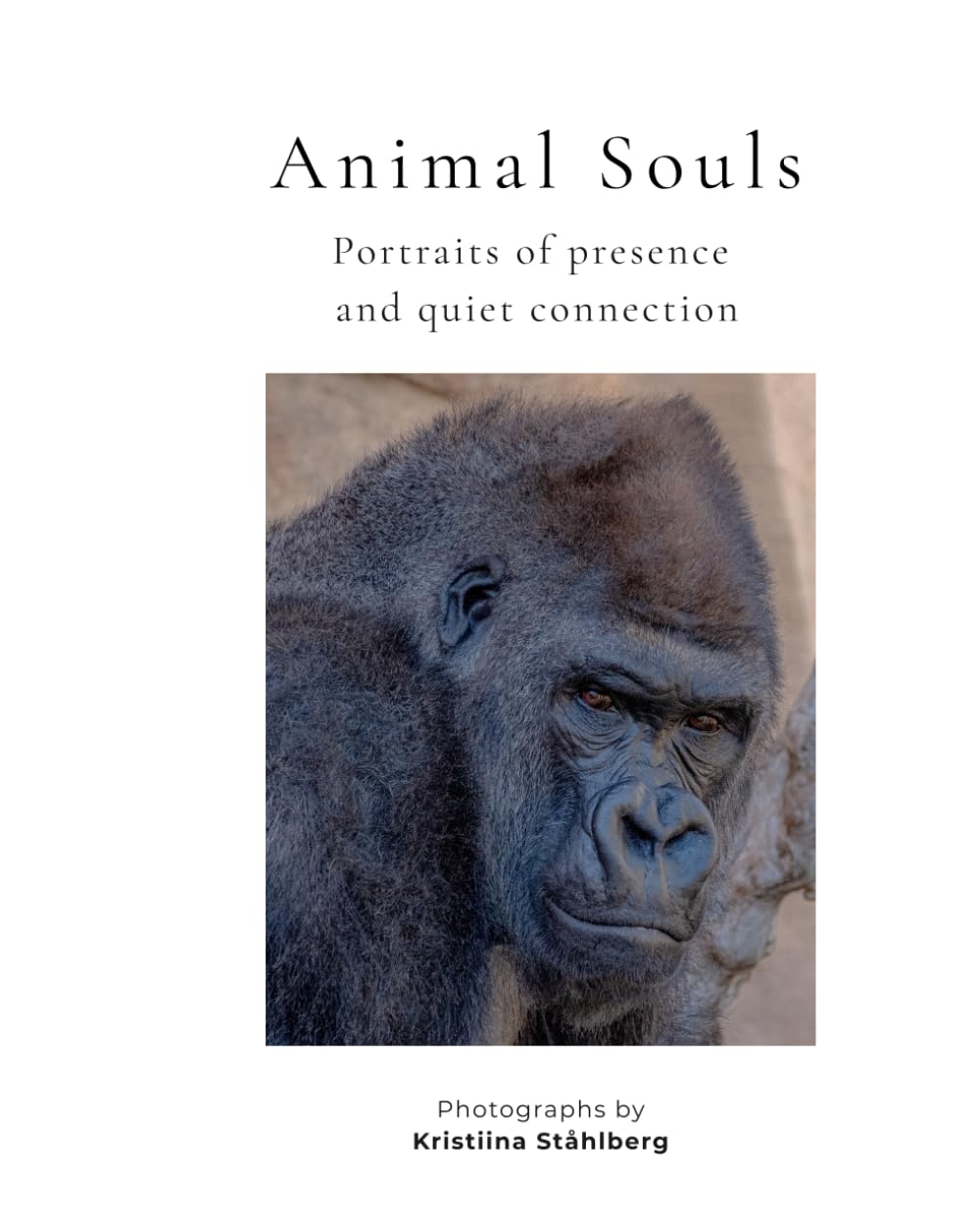 Animal Souls: Portraits of presence and quiet connection