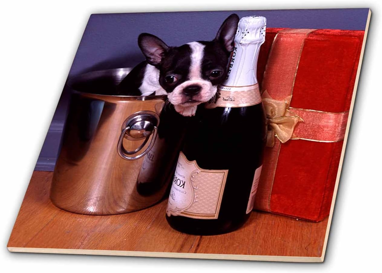 3dRose ct_3113_6 Boston Terrier Satine Glass Tile, 6-Inch